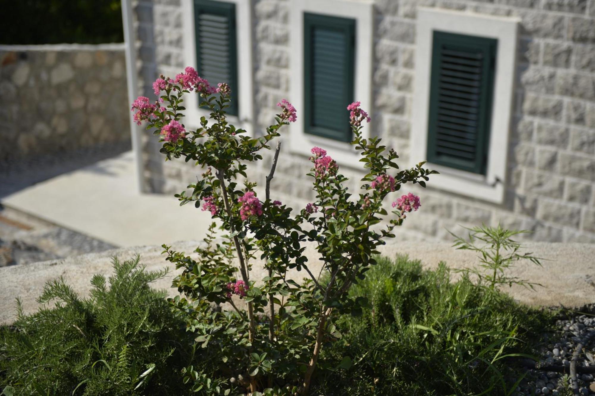 Villa Vista Azzurra Tivat Luaran gambar
